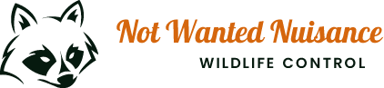 Main Logo